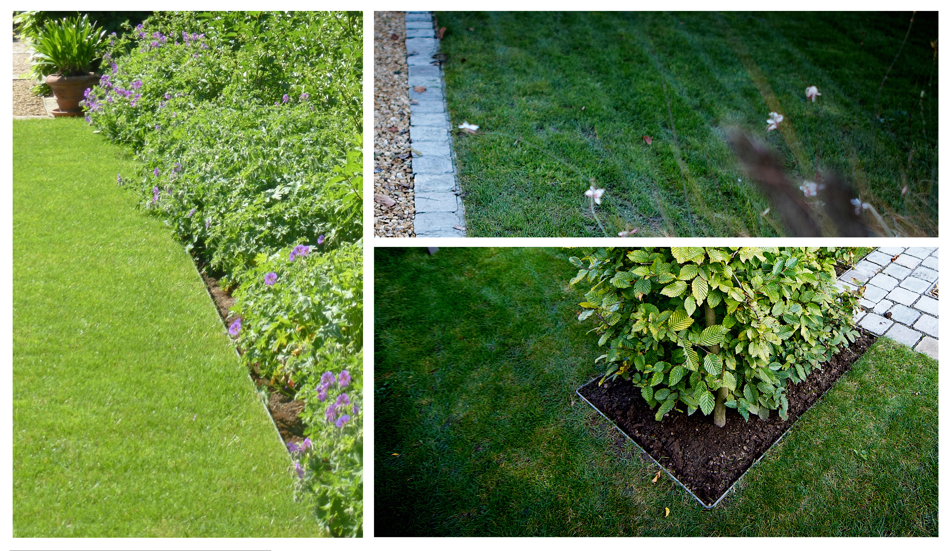 Exemple de création de palissades des Jardins de la Rianderie