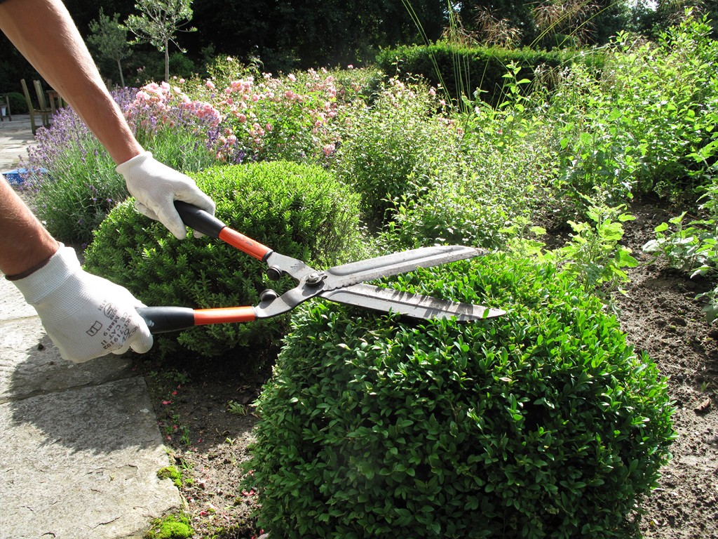 Exemple d'entretien de jardin des Jardins de la Rianderie