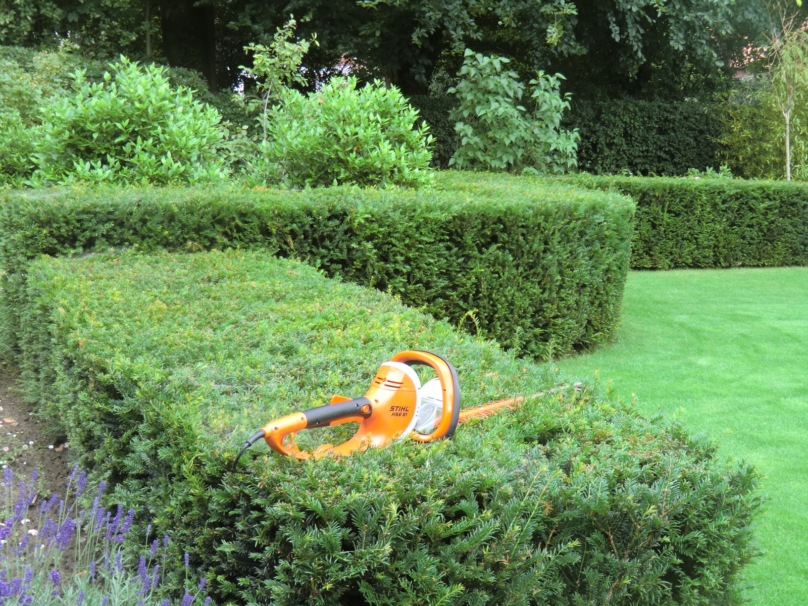 Exemple d'entretien de jardin des Jardins de la Rianderie